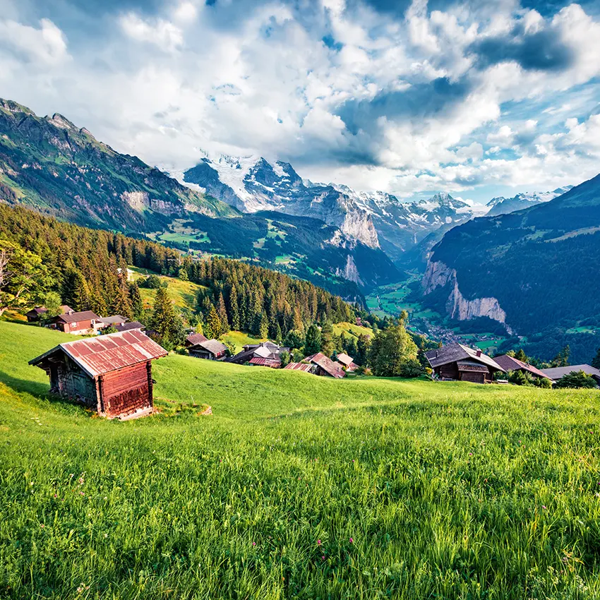 Leistungen einer Zügelfirma Bülach im Überblick