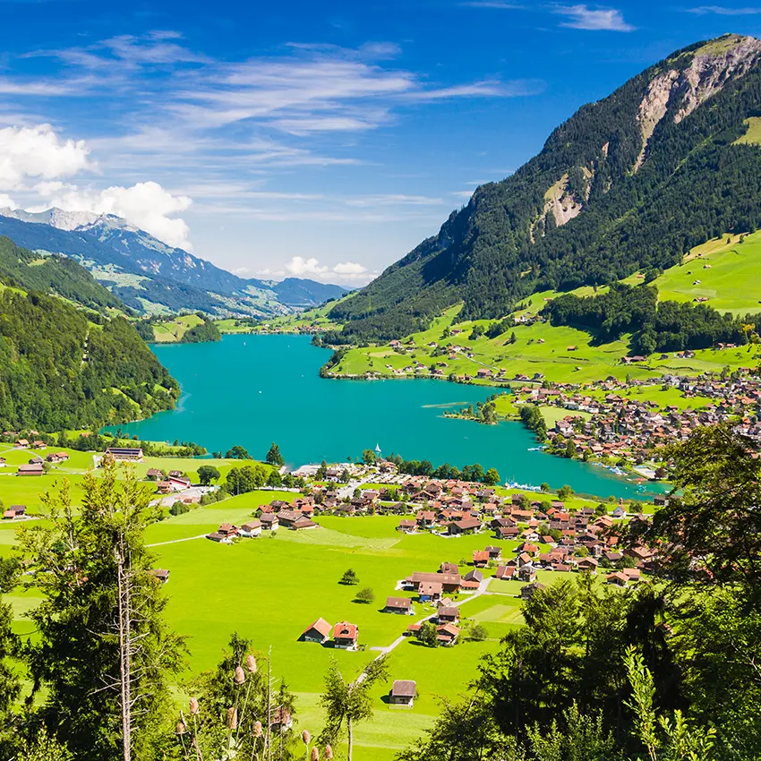 Leistungen einer Zügelfirma Dietikon im Überblick