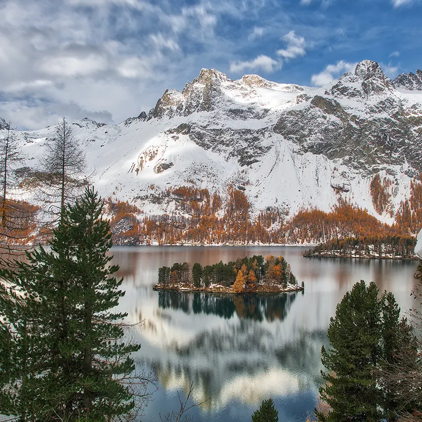 Leistungen einer Zügelfirma Wädenswil im Überblick