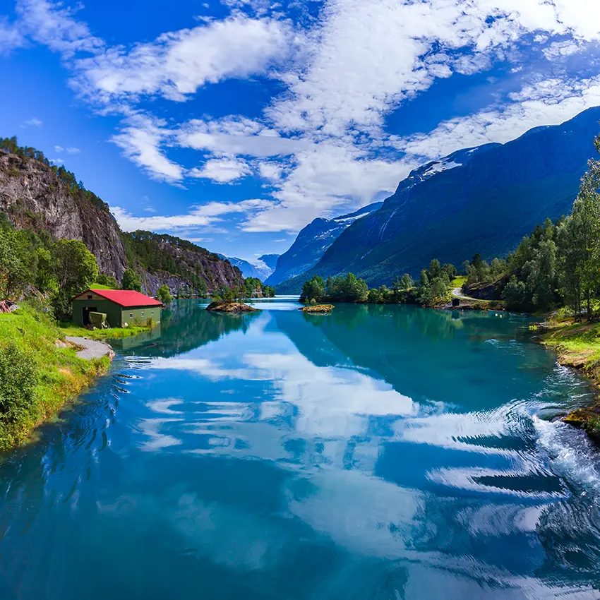 Leistungen einer Zügelfirma Wetzikon im Überblick