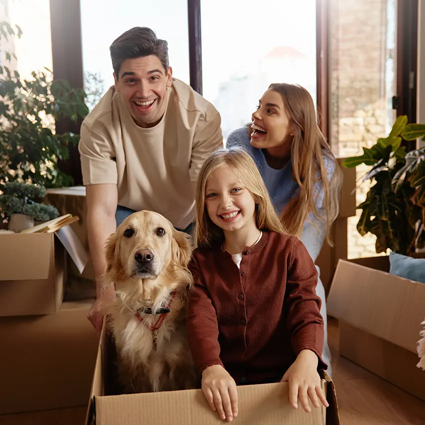 Zügelfirma Wetzikon Angebote vergleichen